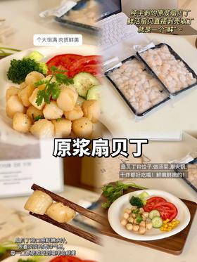 原浆扇贝丁