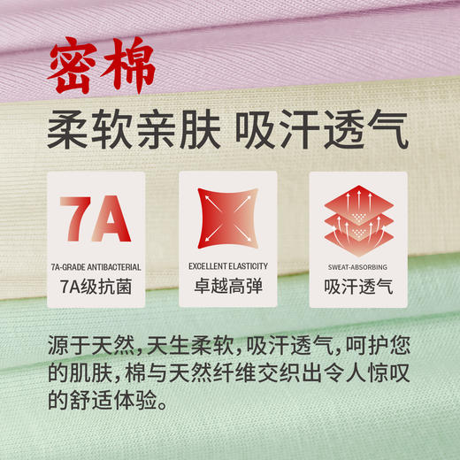 Threegun三枪 密棉女三角裤-T40054B01 商品图1