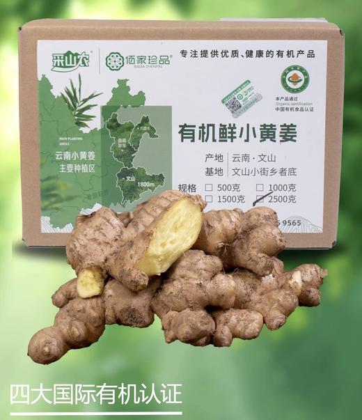 云南文山有机小黄姜 商品图0