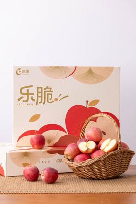 新疆乐脆小苹果（新疆乡村振兴）