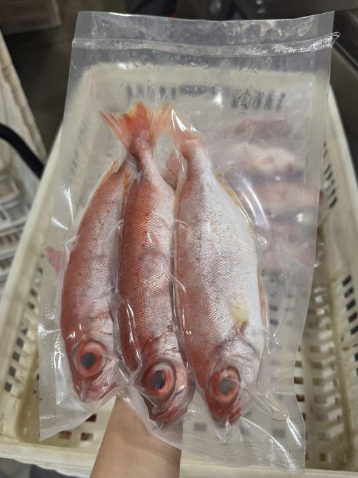 海捕红目鲷 商品图8