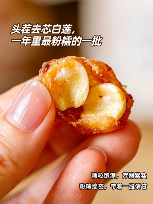 朴食有方 桂圆抱莲子80g 商品图1