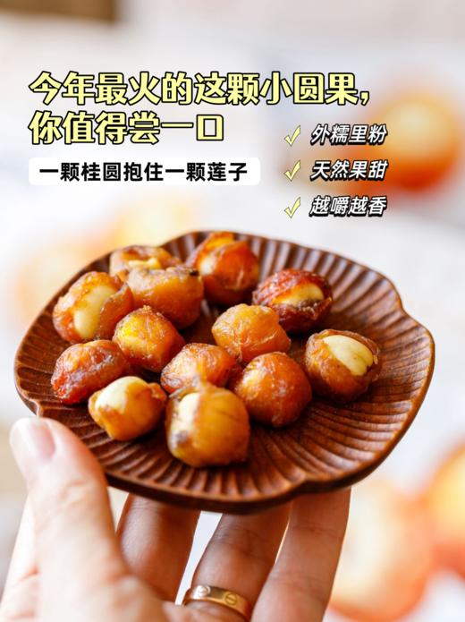 朴食有方 桂圆抱莲子80g 商品图3