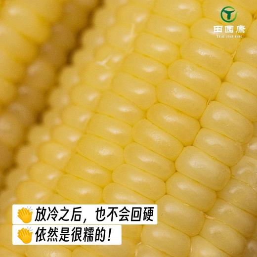 田园康新疆有机糯玉米（新疆乡村振兴） 商品图9