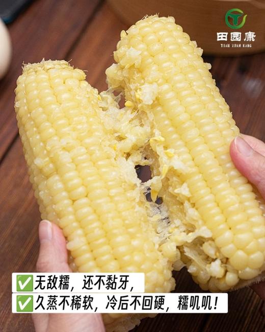 田园康新疆有机糯玉米（新疆乡村振兴） 商品图3