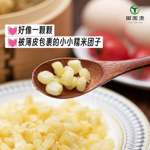 田园康新疆有机糯玉米（新疆乡村振兴） 商品图6