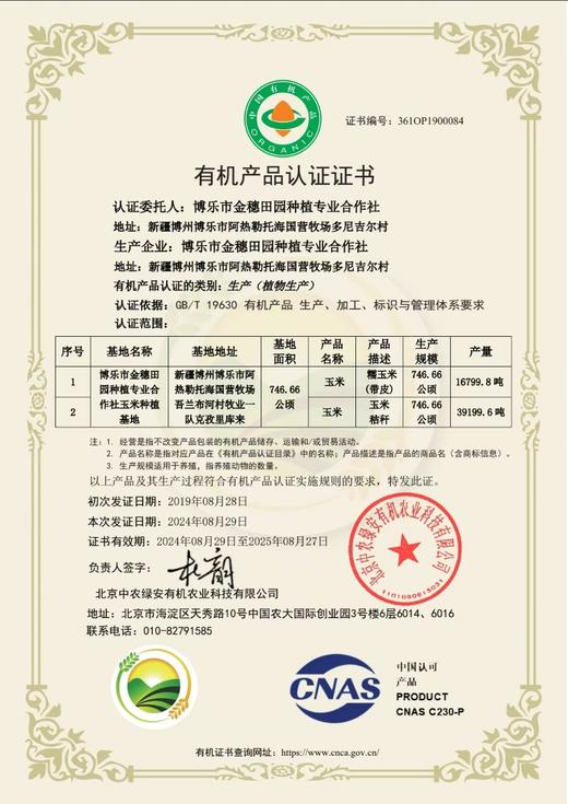 田园康新疆有机糯玉米（新疆乡村振兴） 商品图10