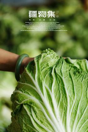 疆物集·新疆博湖白菜 （新疆乡村振兴）