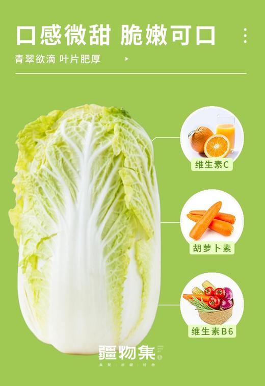 疆物集·新疆博湖白菜 （新疆乡村振兴） 商品图3