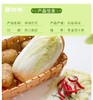 疆物集·新疆博湖白菜 （新疆乡村振兴） 商品缩略图6