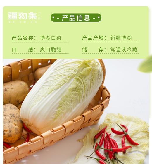 疆物集·新疆博湖白菜 （新疆乡村振兴） 商品图6