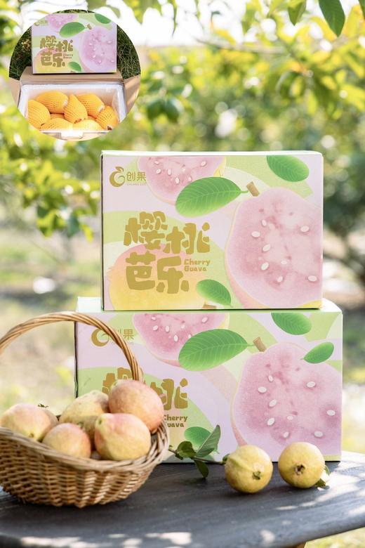 樱桃芭乐 商品图0