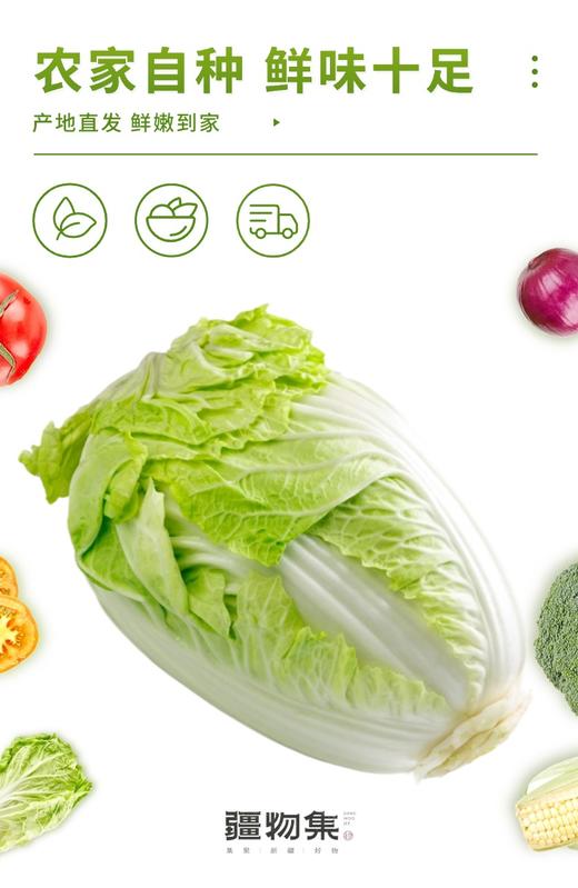 疆物集·新疆博湖白菜 （新疆乡村振兴） 商品图4