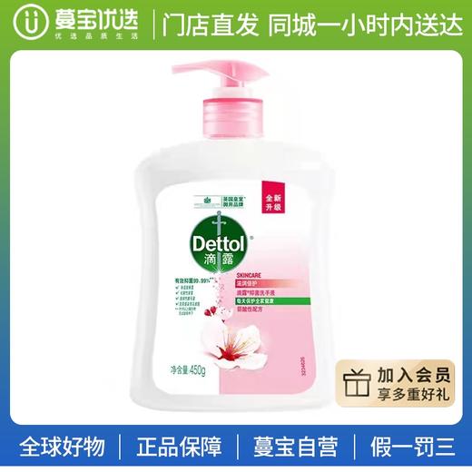 【门店直发】滴露抑菌洗手液450g 商品图1