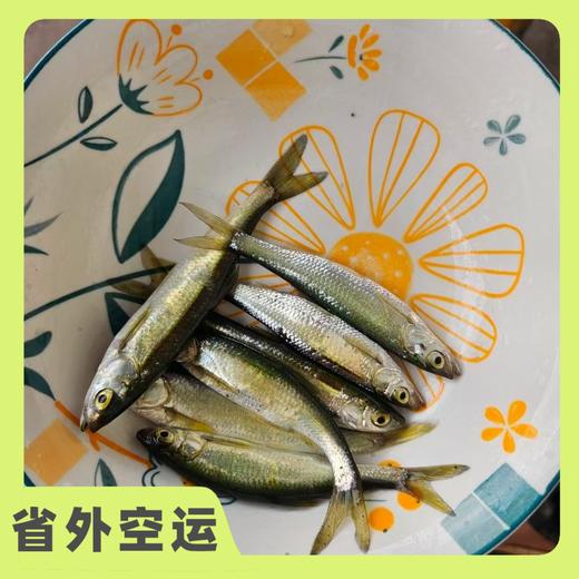 野生小白条鱼| 合作生产 * Small wild whitefish | Partner Production 商品图1