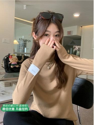 【99元任选2件】巨折清仓秒杀，稀有现货24小时发【仅限今日】【衣橱刚需】高领打底衫 商品图0