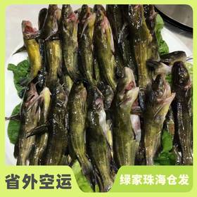 有机黄辣丁鱼（临期6折） | 合作生产 * Organic-Huang spicy fish| Coproduction