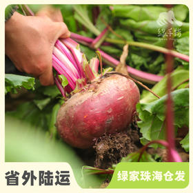 生态甜菜根（包邮） |绿家自产*Ecological Beetroot | Self-production