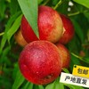 有机珍珠枣油桃 | 合作生产*Organic pearl jujube oil peach |  Partner Production 商品缩略图2