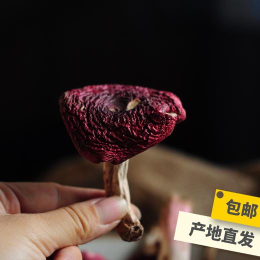 野生高山红菇（申通） | 合作生产 * Wild Red mushroom | Coproduction 商品图1