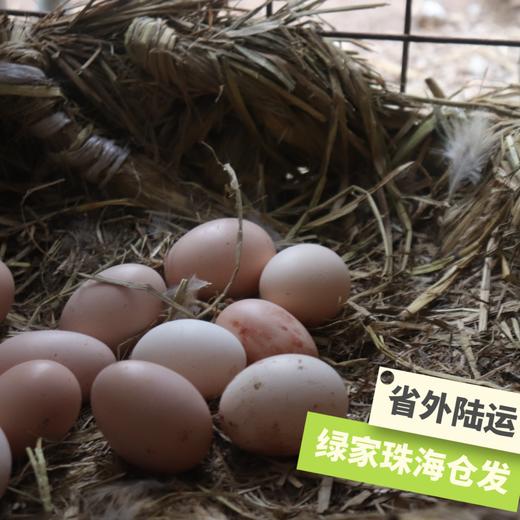 生态初生鸡蛋份额 | 绿家自产* Share of Eco- primary egg | In-House Production 商品图1