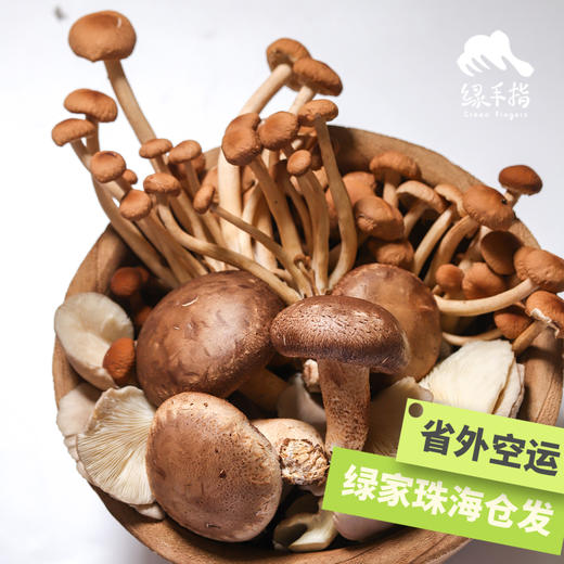 【总仓发】生态蘑菇份额 | 绿家自产* Share of ecological miscellaneous Mushroom | In-House Production 商品图1