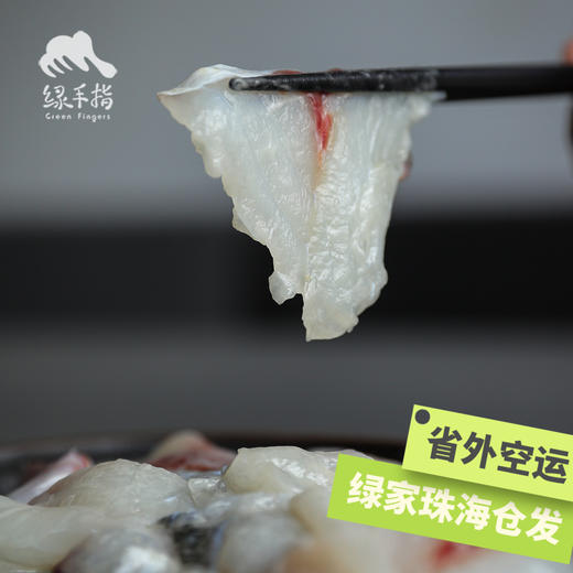 生态草鱼片/鱼腩/鱼骨 | 绿家自产 * Eco- Grass Carp | Self-production 商品图1